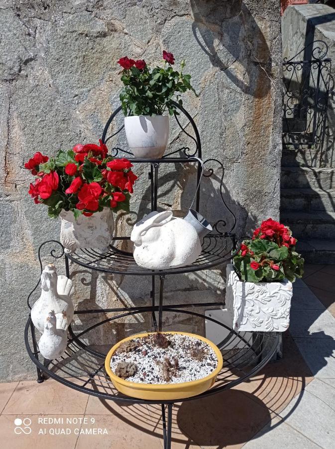 Casa Dell'Aura Acomodação com café da manhã Chiavari Exterior foto